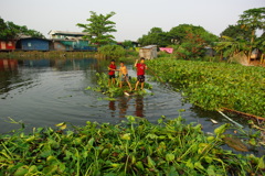 池