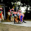 秋祭り