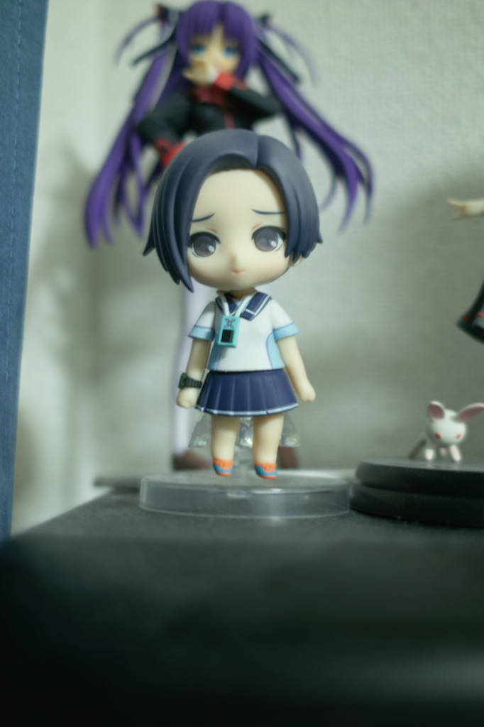 DP2 Test リンコ