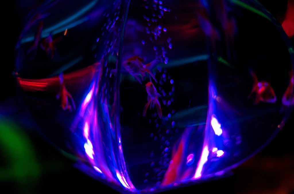 BONBORIUM