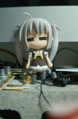 DP2Test プリムラ