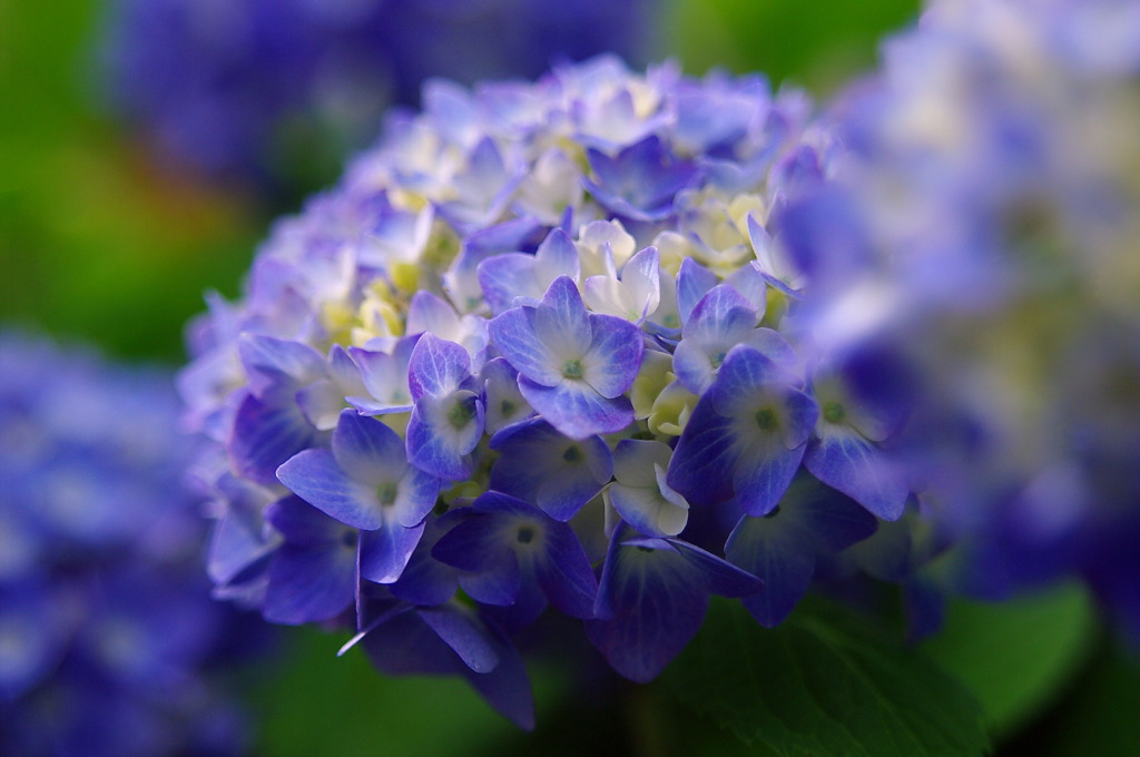 そろそろ梅雨でしょうか・・・