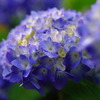 そろそろ梅雨でしょうか・・・