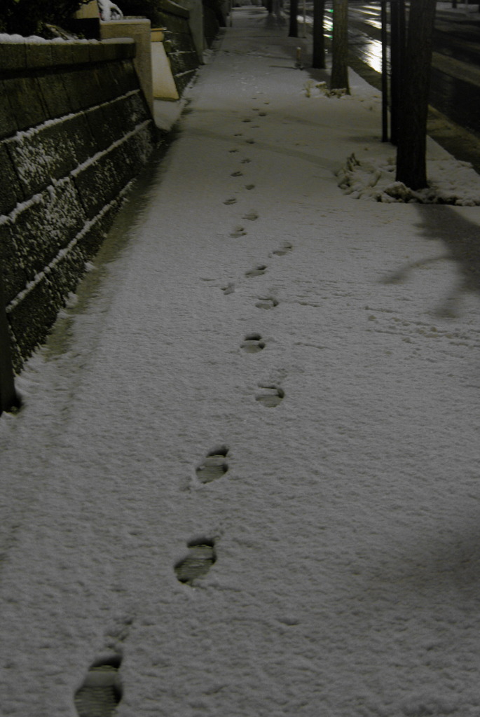 雪見散歩