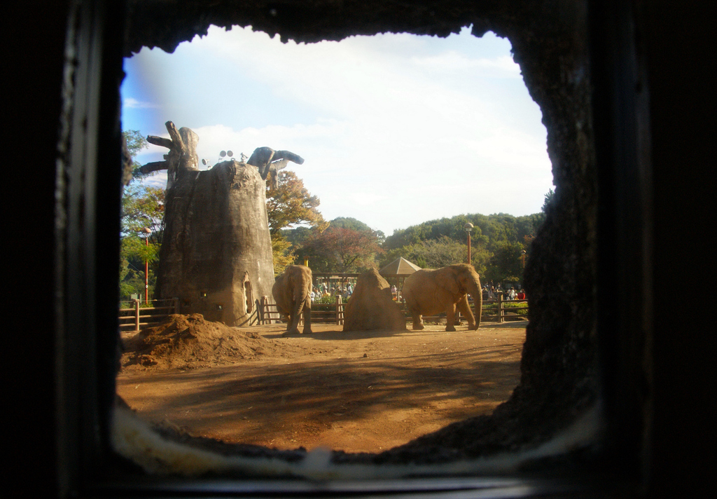 動物園