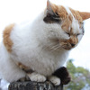 居眠り