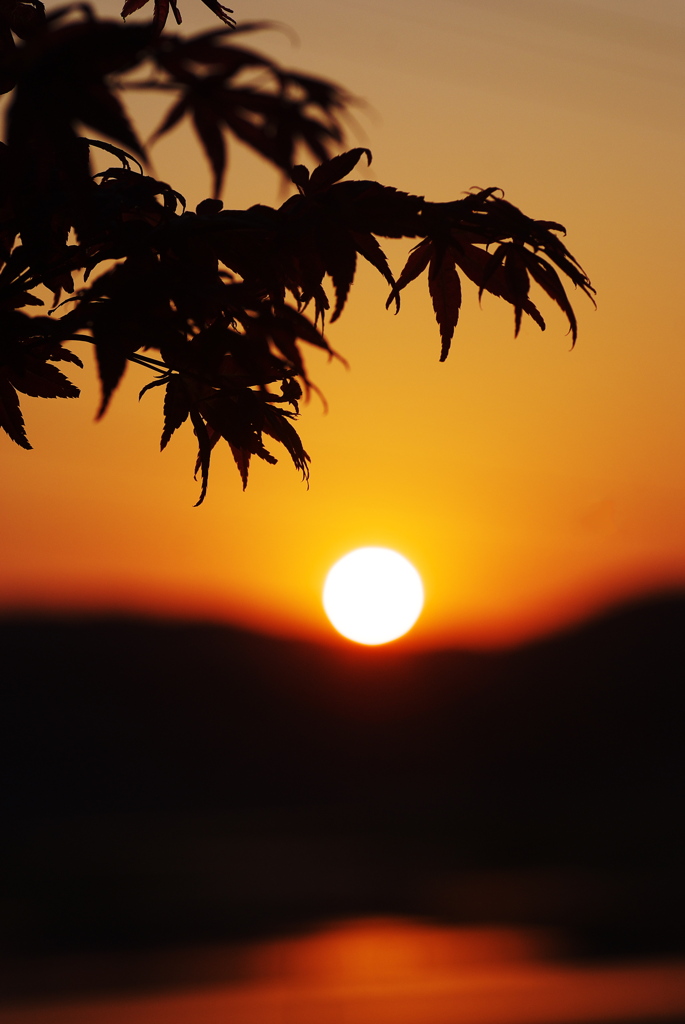 夕凪モミジ