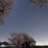 桜とオリオン