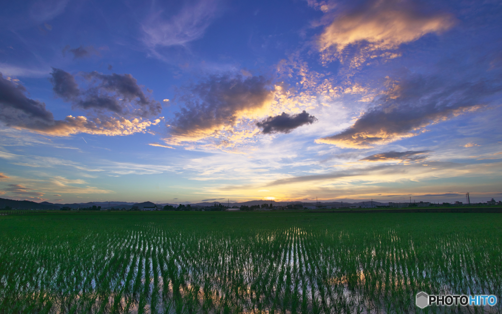 田園夕景・2015夏