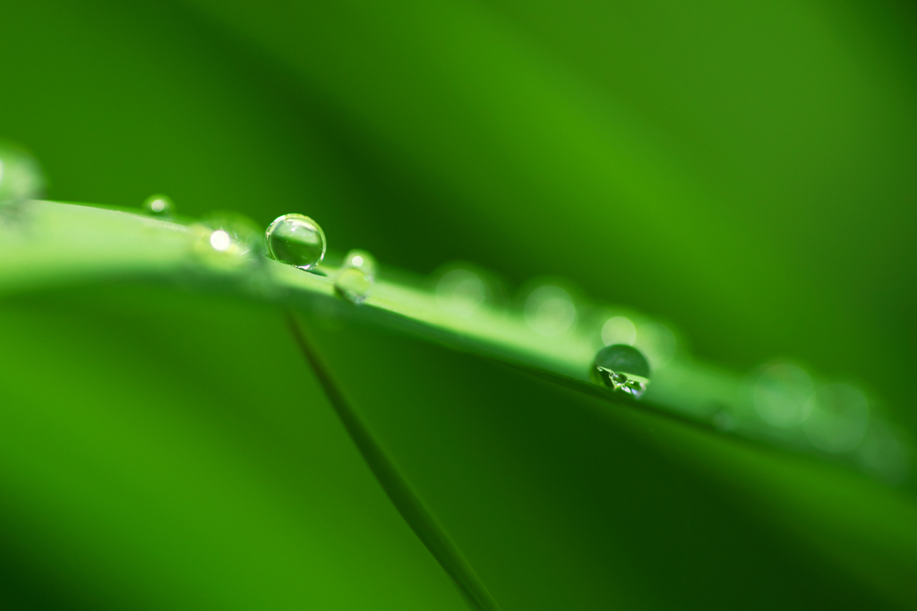 梅雨の気配