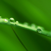 梅雨の気配