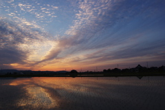 田園夕景／田植え後