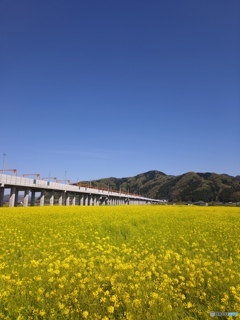 北陸新幹線は工事中