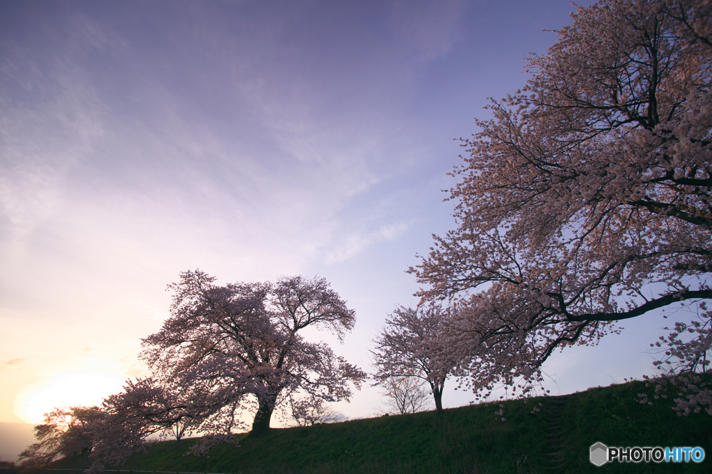 春の夕暮れ