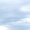 冬空に鷺