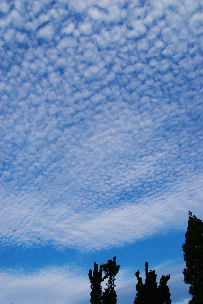 今朝の空 10/09/19