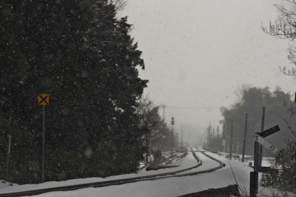 撮れなかった雪鉄