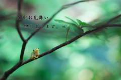 暑中お見舞い