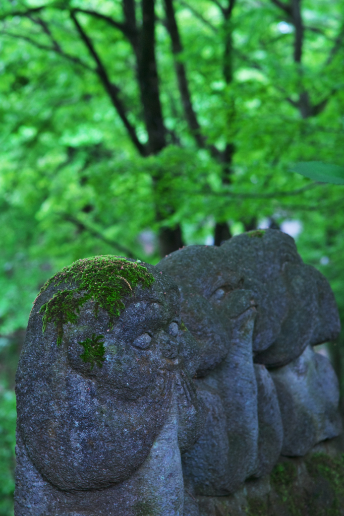 岩猿（言わざる）