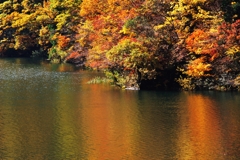ダム湖の秋Ⅳ
