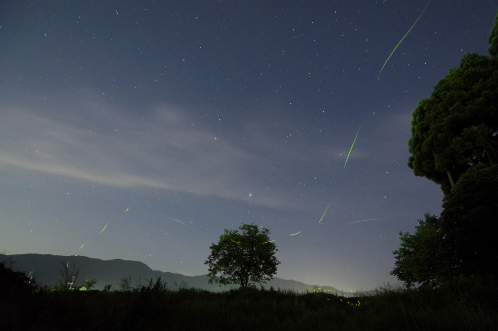 星空に舞う