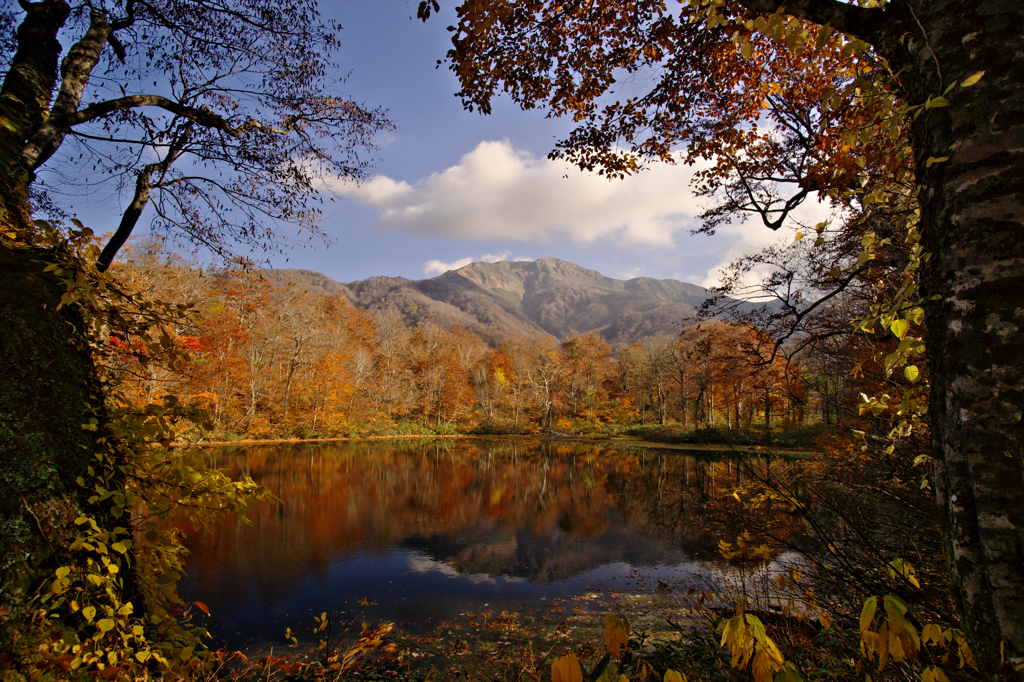 刈込池・ＨＤＲ