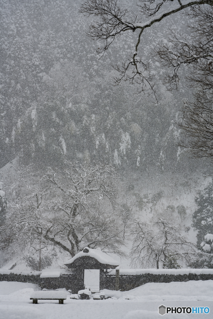 雪の朝倉