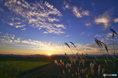 田園夕景2015秋