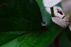 厄介な雨