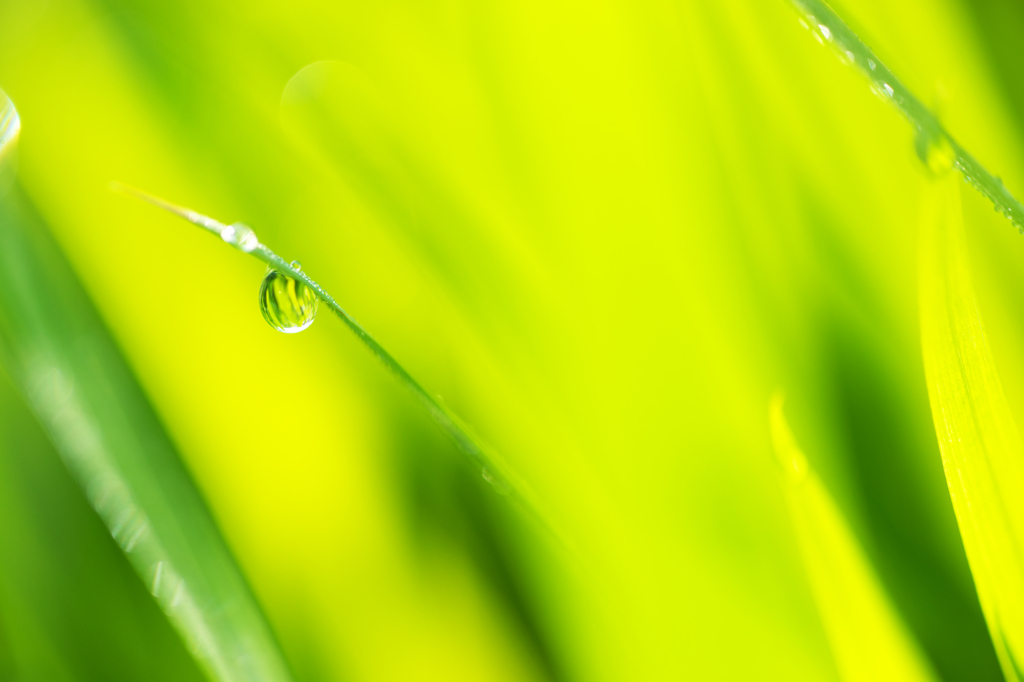 近づく梅雨