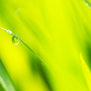 近づく梅雨