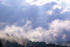 雨上がりの杉山