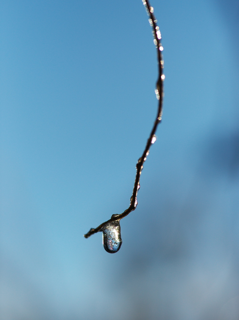 雪融けの輝きⅣ