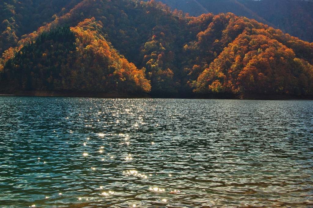ダム湖の秋
