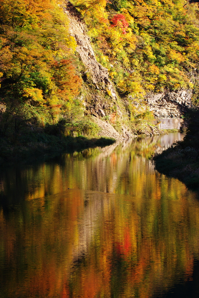 湖面の紅葉