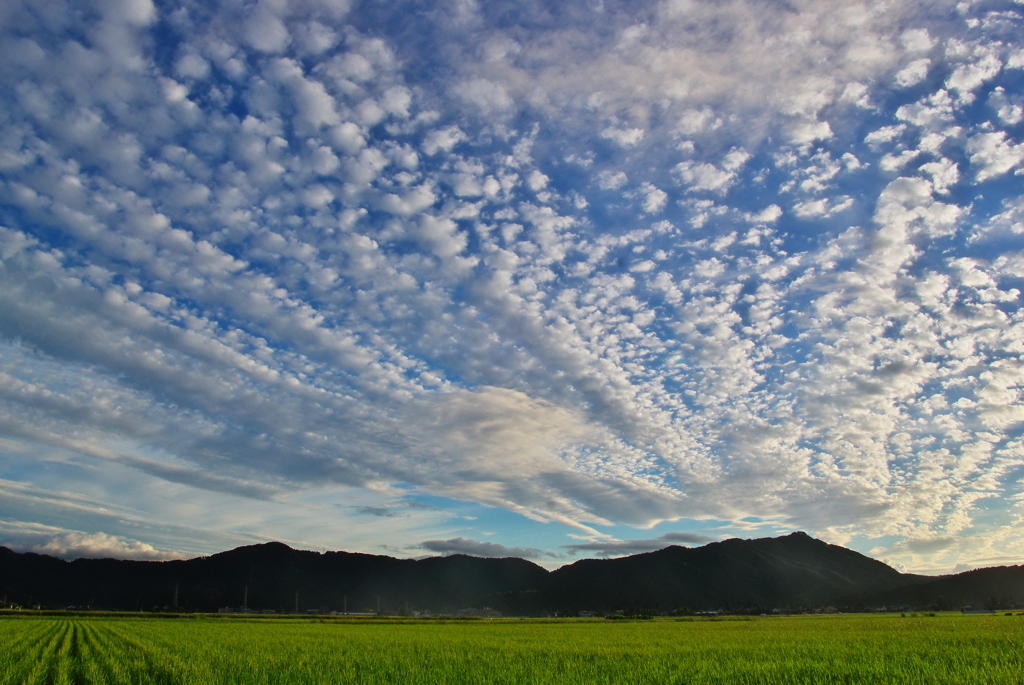 今日の空　10/09/23