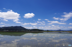 雨上がりの空