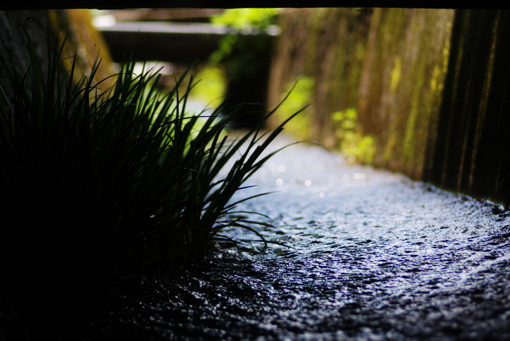 水恋し