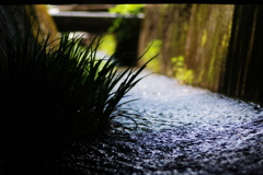 水恋し