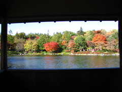 2008.11.19 昭和記念公園 