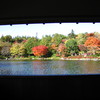 2008.11.19 昭和記念公園 