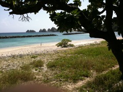 iPhoneにて撮影：阿嘉島のビーチ