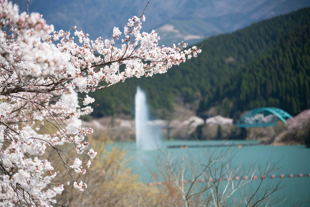 大噴水が遠くに