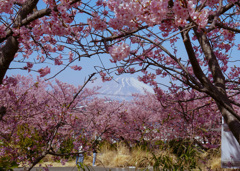 秘密の場所からの眺め