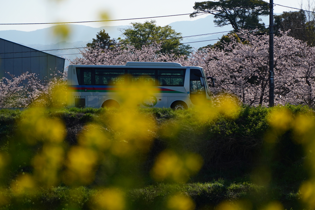 会いにいくわ汽車にのって