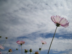 空に向かって