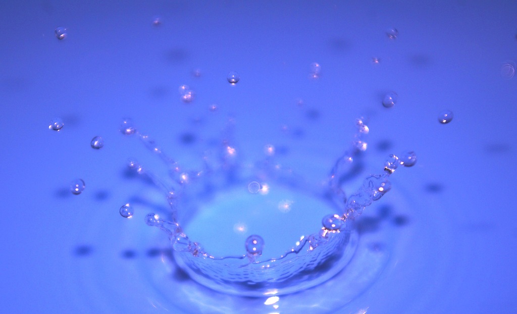 水の世界へようこそ