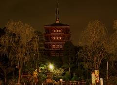 深夜の高幡不動