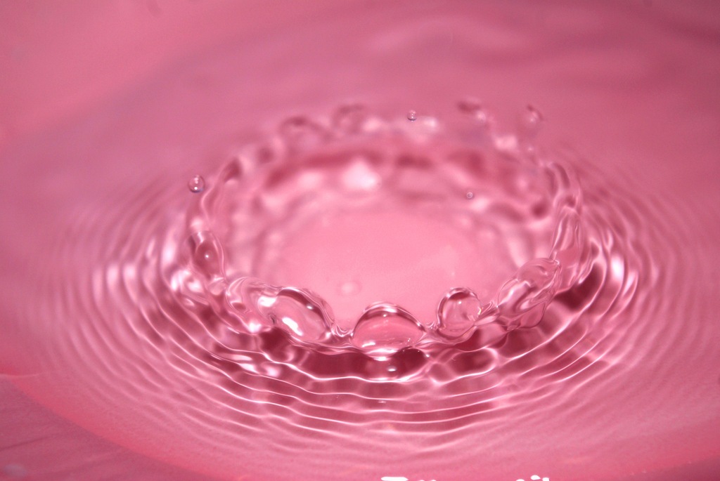 水の花