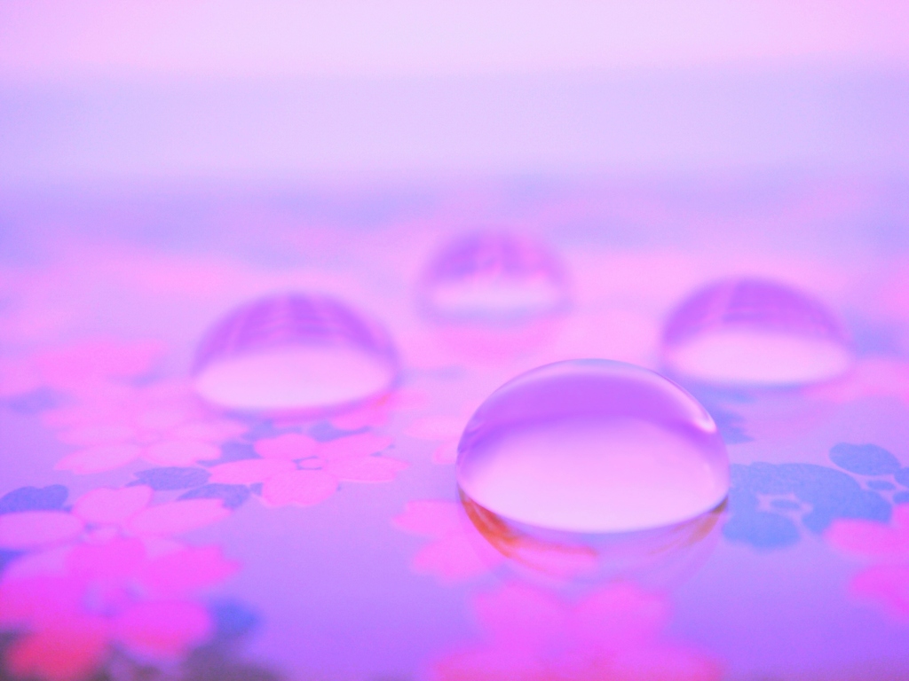 水玉アート【春の兆し】